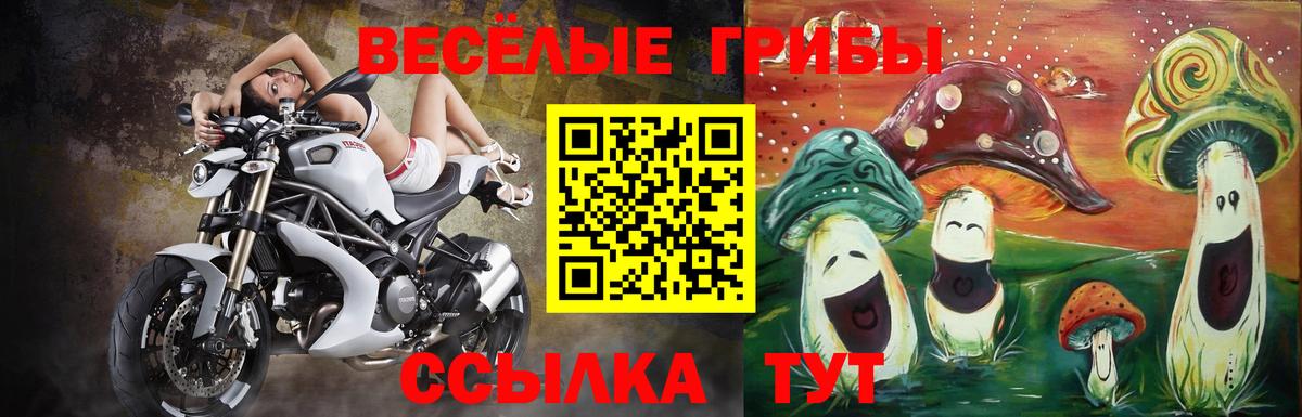 Галлюциногенные грибы мицелий Бузулук