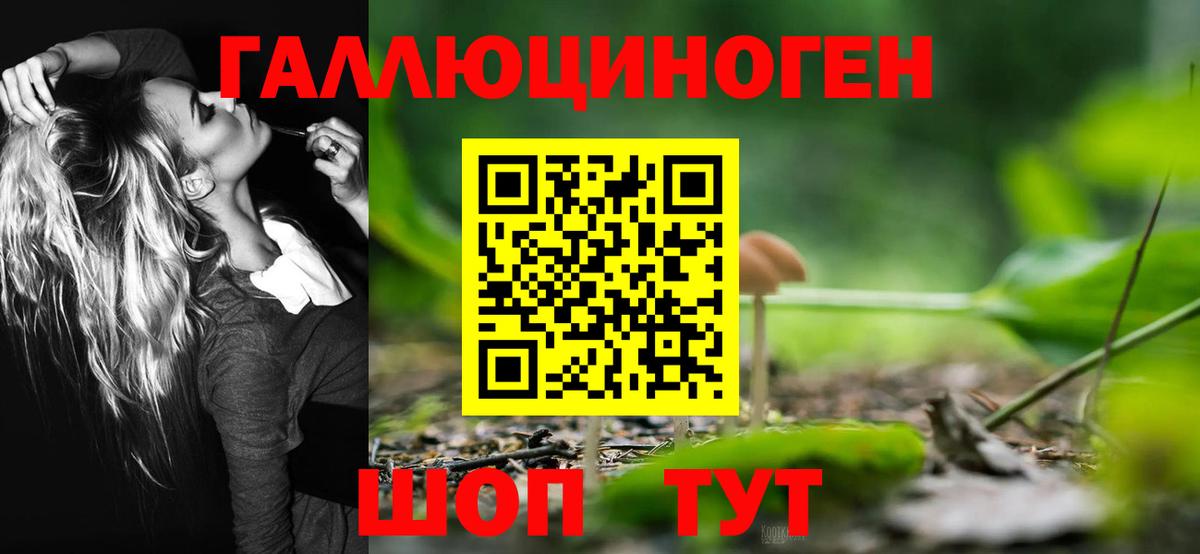 Бузулук  Галлюциногенные грибы MAGIC MUSHROOMS  Вход с VPN 